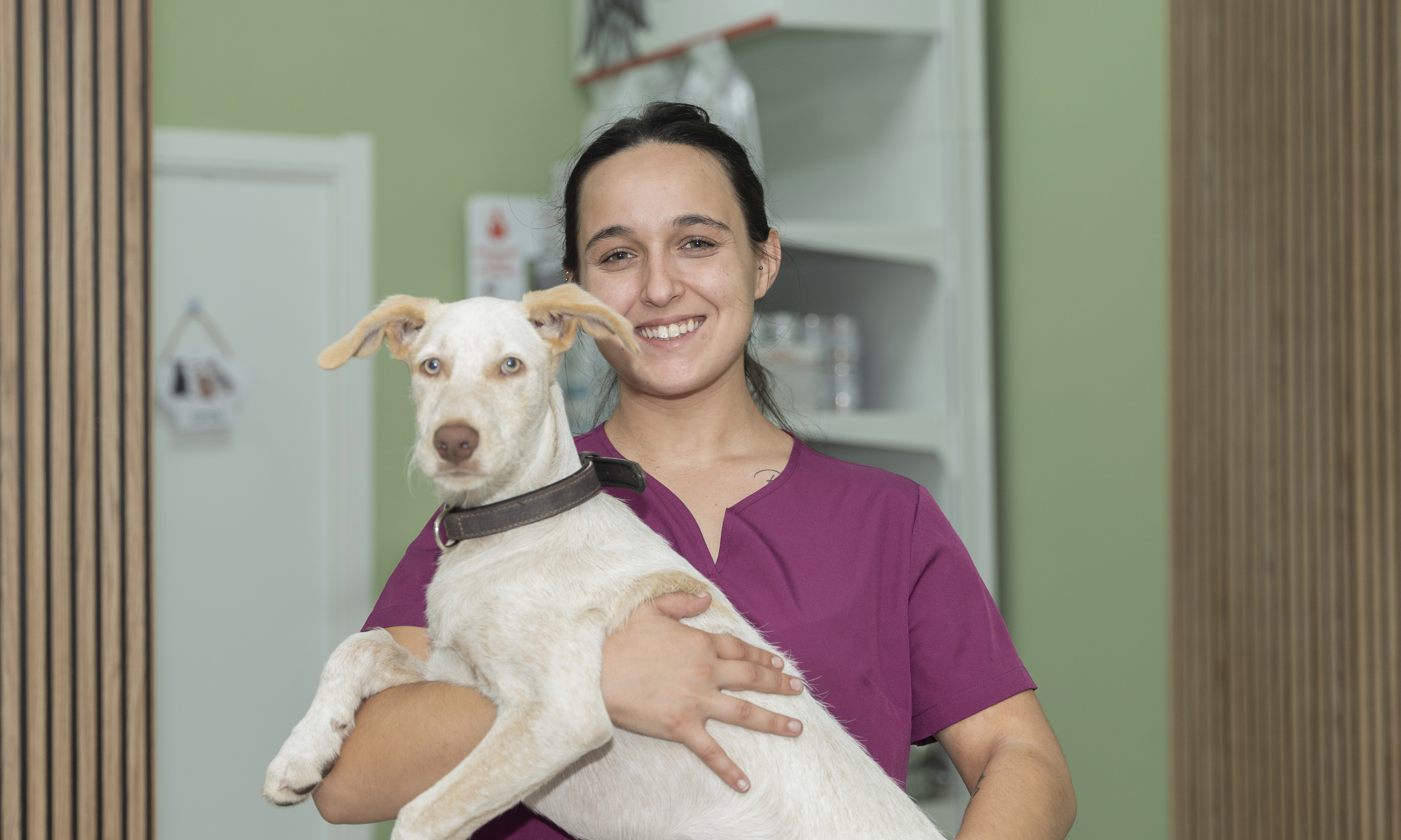 Clínica Veterinaria Por ellos